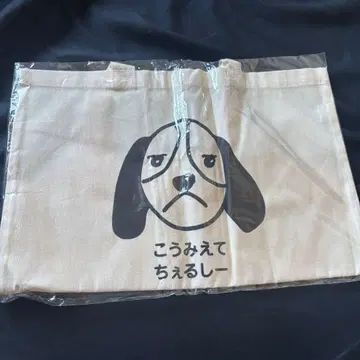 츠츠이 아야메 생탄 기념 굿즈 2023 노기자카46