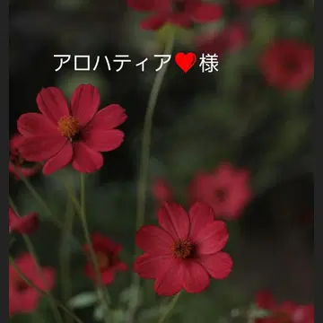 [ 아로하 티어 님 ] BTS 메모장 묶음