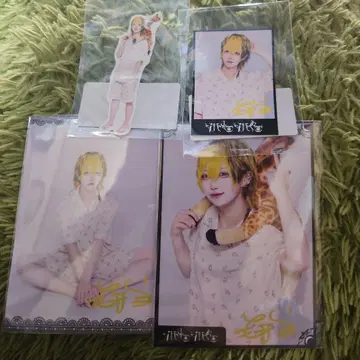 MADMED 원숭이 말 호랑이 씰 2종 브로마이드 2종