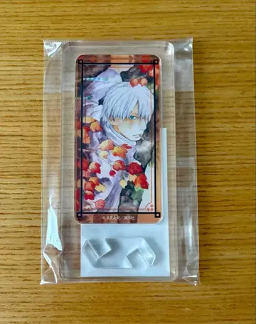 충사 도미테리아 긴코A