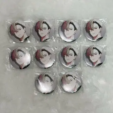 비바 렌 커버 아트 레온 10개