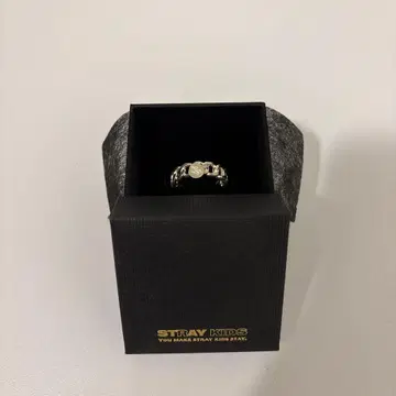 Stray Kids Unlock : GO LIVE IN LIFE 반지