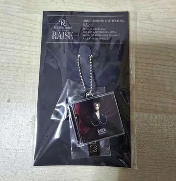 RAISE CD 참 키링