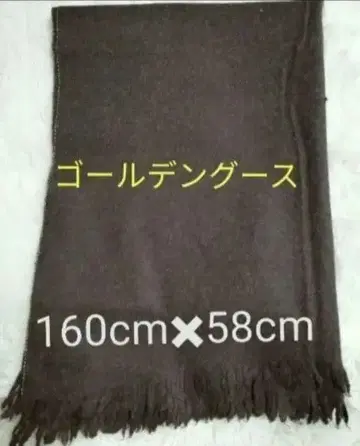 스톨 머플러 골든구스