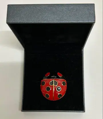 죠죠의 기묘한 모험 죠죠전 모험의 파문 무당벌레 브로치