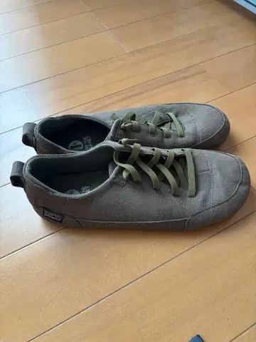 Patagonia 올리브 스니커즈