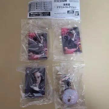 타카하시 아이 아크릴 컬렉션 4개 세트