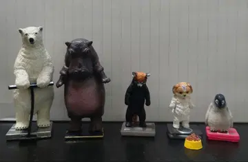 오늘은 몇 킬로? 가챠 타니타