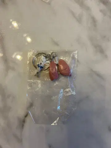 장기 키링 ( 폐 )