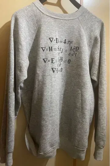 레어 80s 빈티지 챔피온 '방정식' 맨투맨 맥스웰