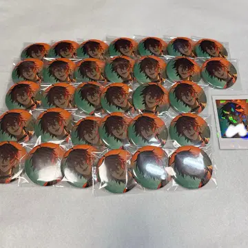 디그로 캔뱃지 폴라로이드 친필 아카네