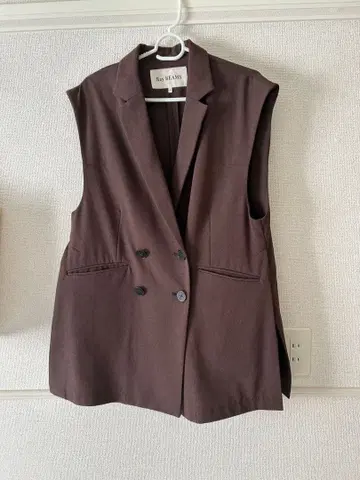 Ray BEAMS 브라운 슬리브리스 베스트