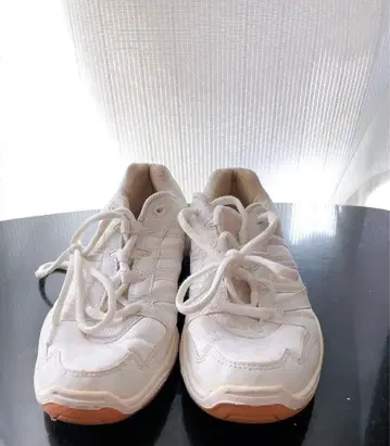 남성용 신발 화이트 체육관 신발 문스타