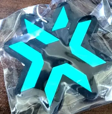 VALORANT vct2022 오프라인 관전 한정판 키링