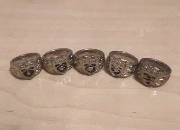 가정교사 히트맨 REBORN! 봉고레 반지 5개 세트