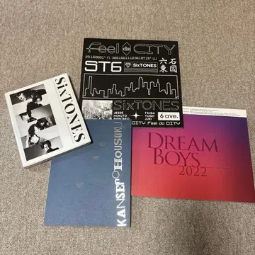 SixTONES 팜플렛 다나카 쥬리