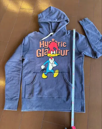 Hysteric Glamour 우드페커 후드티 M