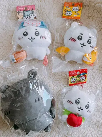 지역 한정 치이카와 세트 하치와레 그레이 아이