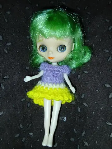 미니 브라이스 커스텀