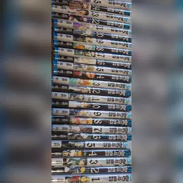 D.Gray-man 1~25권 2~3회 읽은 정도의 중고품