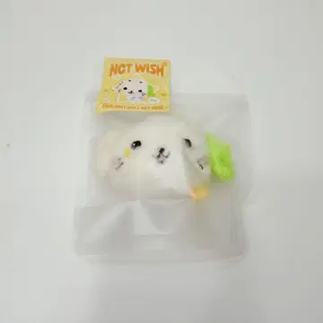 NCTWISH MD 료 료료 키링