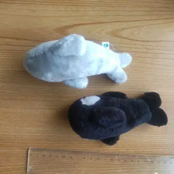 돌고래와 범고래 봉제 인형 세트