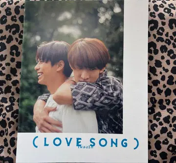 영화 LOVE SONG 러브송 팜플렛 무카이 코지