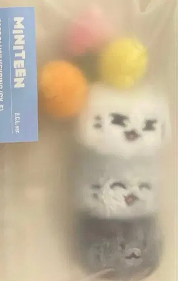 seventeen MINITEEN 준 페이스 키링 미니틴