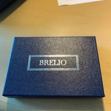 브레이리오 브라이들 명함지갑