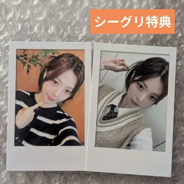 tripleS 시그니처 구매 혜택 EVERLINE 다현 세트