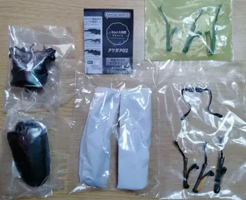 에라푸스 호소아카 사슴벌레 생물대도감 장수풍뎅이