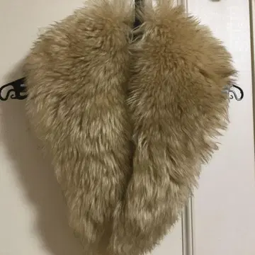 Tescan 스톨 베이지 약 80cm