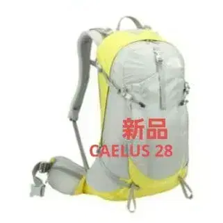 THE NORTH FACE CAELUS 28 하이라이즈 그레이