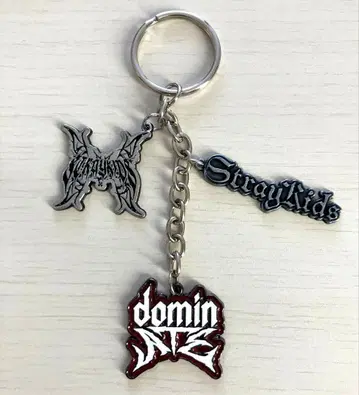 [ 공식 ] Stray Kids 북미 굿즈