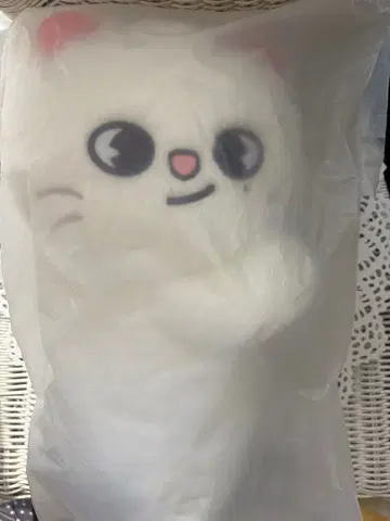 straykids POPUP SKZOO 백 지니레트