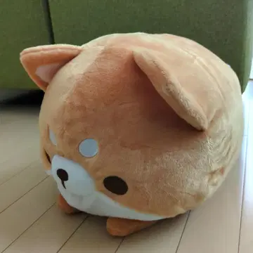 [ 만마루다완! ] 빅 시바견 봉제 인형