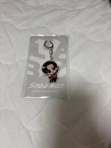 Snow Man LIVE TOUR 2022 아크릴 키링