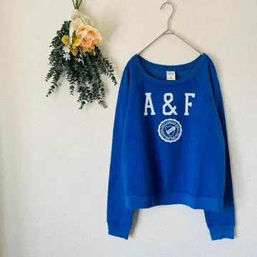 아베크롬비 앤 피치 트레이닝복 상의 / 아메카지 M 사이즈