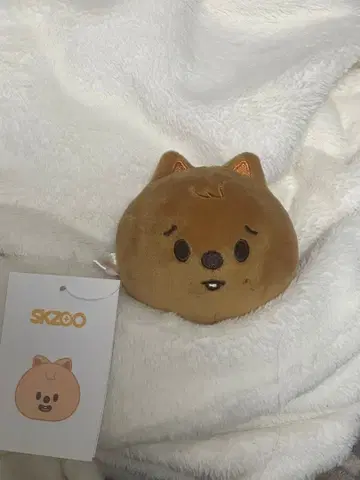 한쿼카 스트레스 공 ate domin 한지성