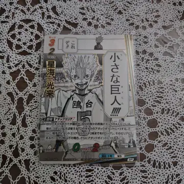 하이큐 바보카 BREAK 호시우미 코라이 SP