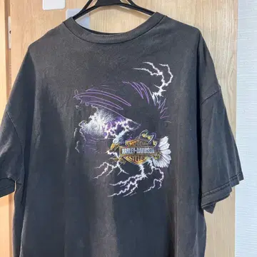 Harley Davidson 할리데이비슨 T셔츠 이글 USA