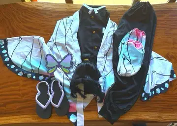 귀멸의 칼날 코쵸우 시노부 전신 세트