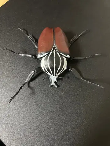 고라이어스 오오츠노하나구리 생물대도감 투구벌레 03 곤충 생물 가챠