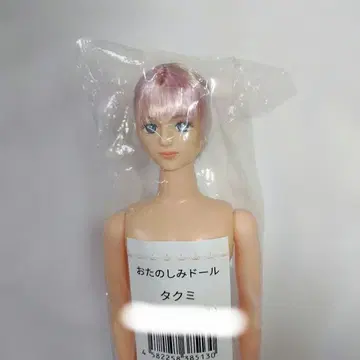 즐거운 인형 타쿠미 리카짱 캐슬