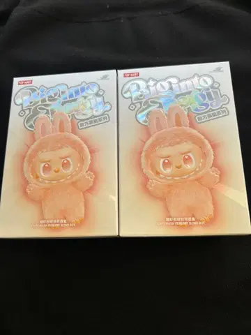 LABUBU 라부부 에너지 시리즈 2체 세트