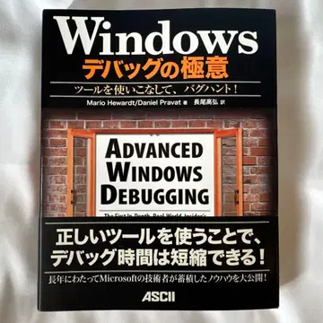 Windows 디버깅의 극의