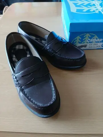 브라운 로퍼 24.0cm 3E 제조사 CEDAR CREST