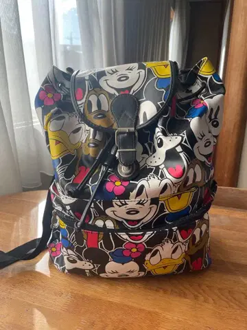 디즈니 월드 럭색