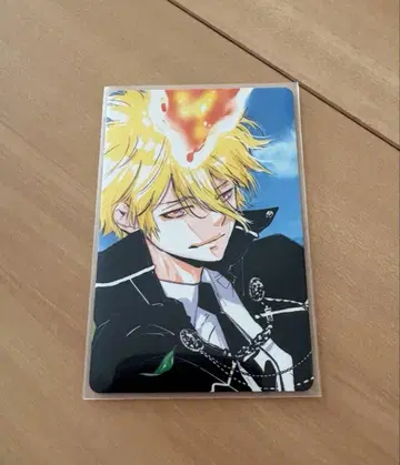 아마노 아키라 전시회 봉고레 프리모 셀카풍 트레이딩 카드