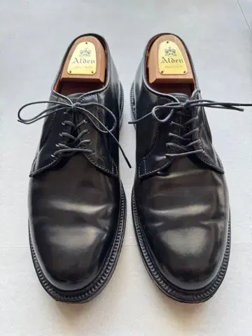 알든 9901 블랙 사이즈 8.5E